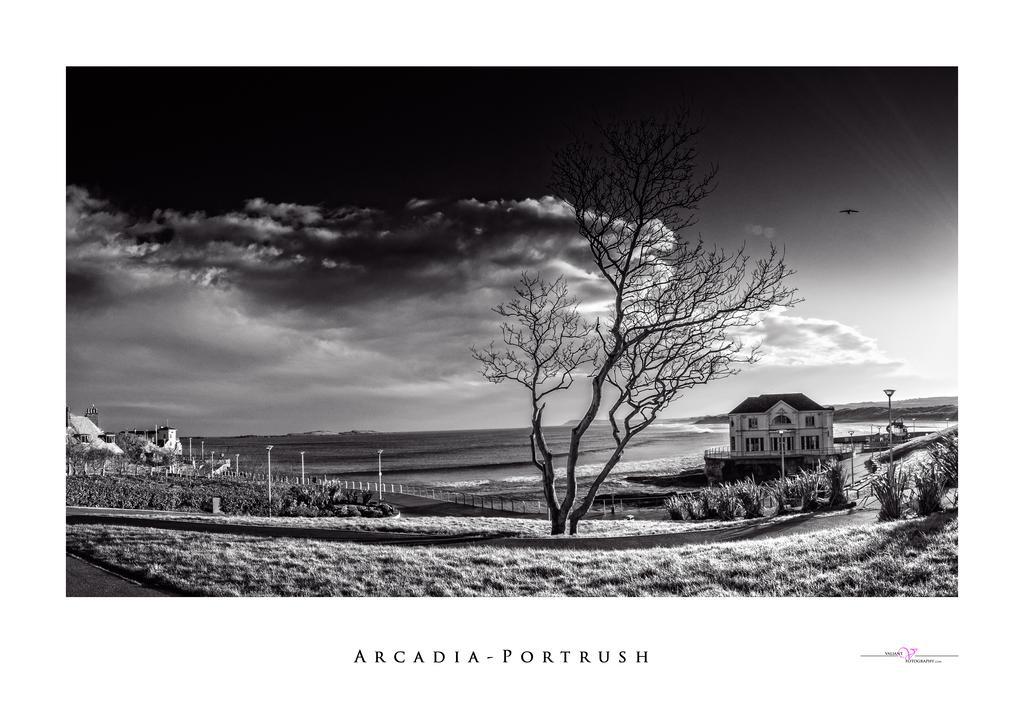 Harbour Heights B&B พอร์ตรัช ภายนอก รูปภาพ